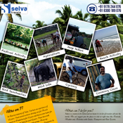 Brochure Designs - Selva Travels, Shenoy Nagar, Chennai