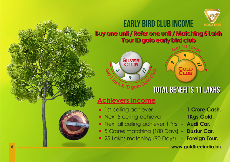 Brochure Designer in Chennai - Gold Tree Eco Wealth India Private Limited, Vadapalani, Chennai