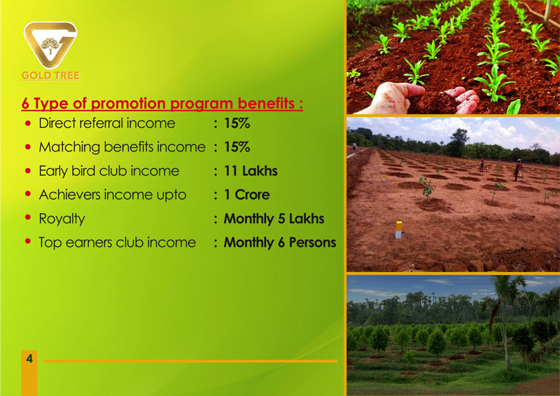 Brochure Designer in Chennai - Gold Tree Eco Wealth India Private Limited, Vadapalani, Chennai