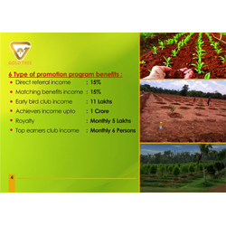 Brochure Designs - Gold Tree Eco Wealth India Private Limited, Vadapalani, Chennai