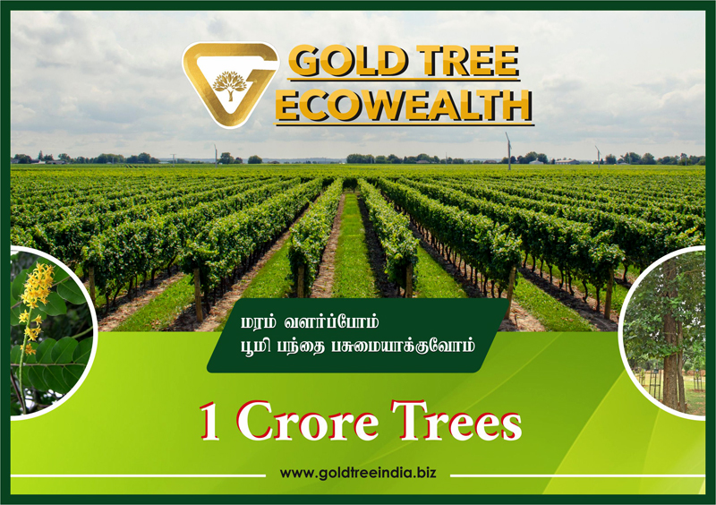 Brochure Designers in Chennai - Gold Tree Eco Wealth India Private Limited, Vadapalani, Chennai