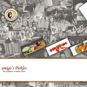 Product Catalogue Designs - Amigo Impex Private Limited, Tiruchirappalli