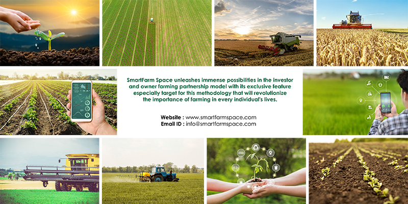 Brochure Designing Services - Smart Farm Space, Chennai.